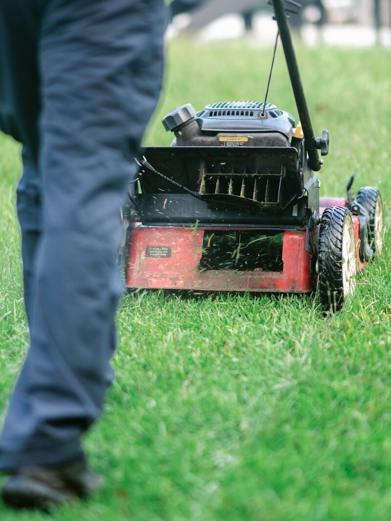 terraluxe | myrtle beach landscaping & lawn care | landscape design services in myrtle beach