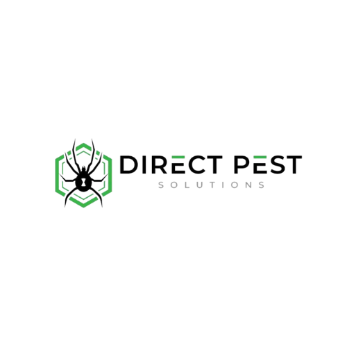 direct pest solutions | pest control in mcdonough