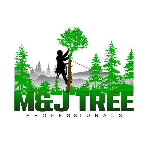 m&j tree professionals | landscape design services in houston