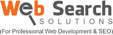 web search solutions |  in udaipur