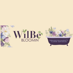 wilbe bloomin |  in toronto