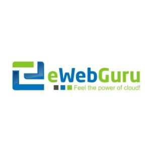 ewebguru solutions pvt. ltd. |  in noida