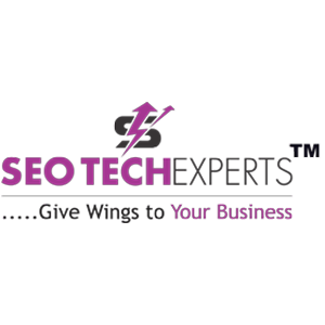 seo tech experts |  in gurgaon, hariyana