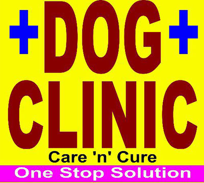 dog clinic |  in jaipur